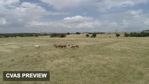 DJI 0102