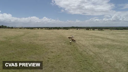DJI 0099