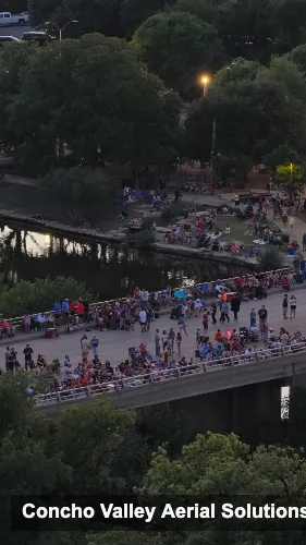 Bridge Crowd 2